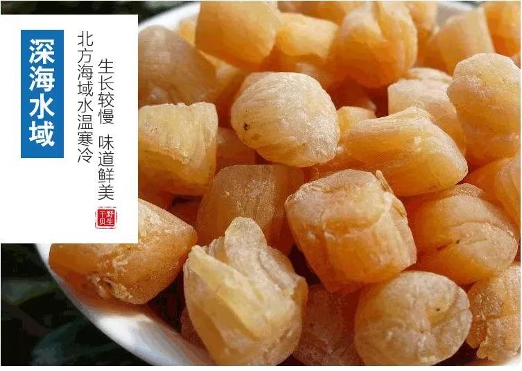 干贝丁2.jpg